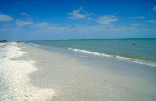 Loggerhead 543 - Gorgeous Beachfront Residence at Loggerhead Cay - Foto 19