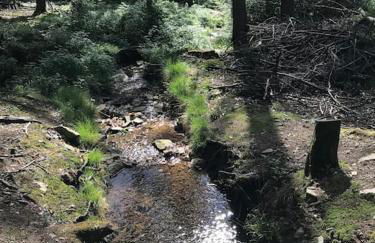 Apartment mit Wintergarten und Terrasse in ruhiger Lage im schönen Taunus - Foto 45