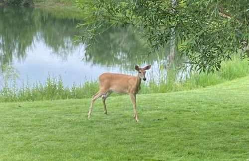 SkyWater Cabins - Foto 12