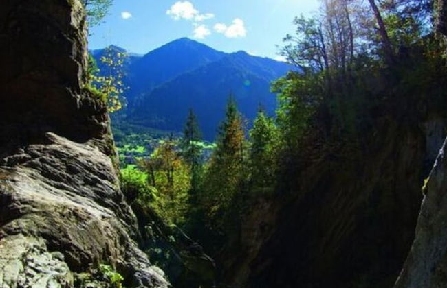 Biologische Pension & Boerderij "de Veitenhof" - Foto 41