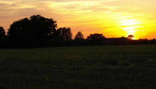 Hof Schubyfeld - Foto 4