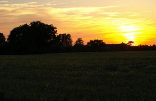 Hof Schubyfeld - Foto 4