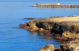 Nel Vicolo - Foto 16