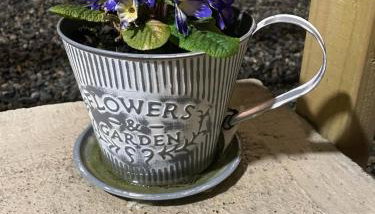 Terry Joe Cottages - Foto 3