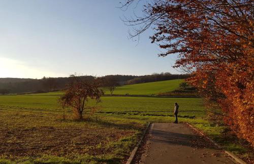 Gemütliche Ferienwohnung am Ortsrand - Foto 20