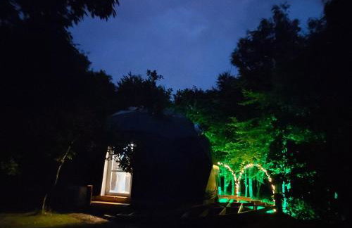 Woodland dome - Foto 30