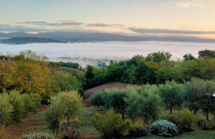 Vigna del Poggio - Foto 32