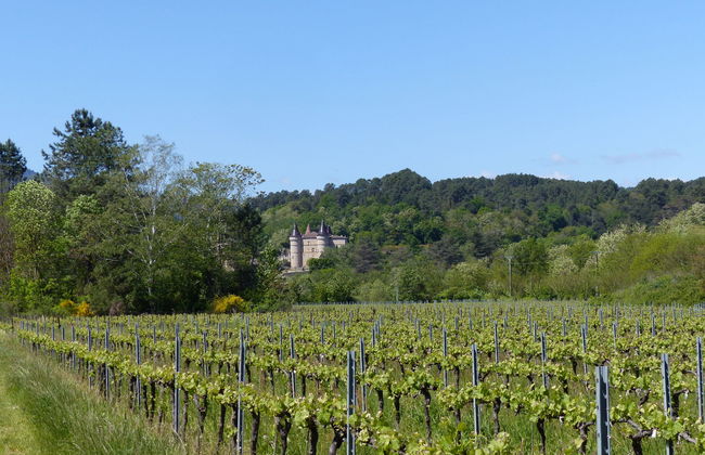 Les Vans-Cottage 3 pièces 5 personnes - Foto 25