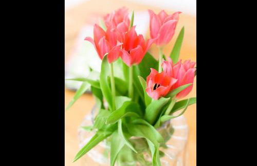 altstadtherz - Foto 40