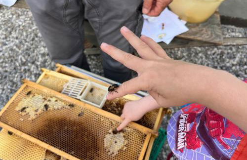 Agriturismo da Natalino - Foto 6