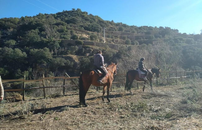 Mas de Leon - Photo 28