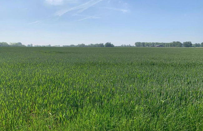 Apartment in Nieuwpoort With Terrace - Photo 15
