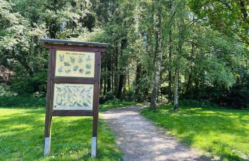 Komfort-Fewo mit Infrarotsauna & WLAN nahe Sorpesee - Haus am Krähenbach - Steinert - Photo 40