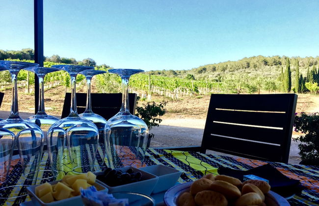 Hotel Rural Can Feliu - Photo 34