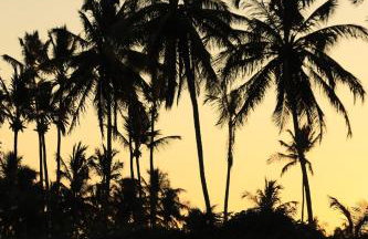 Casa Vilas Patacho Garden - Foto 29