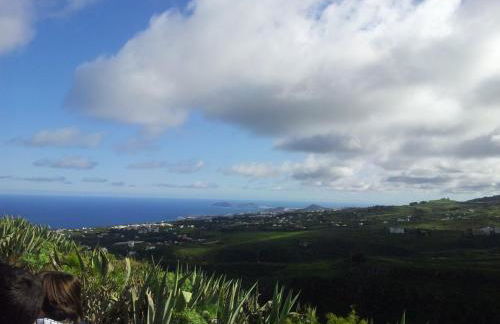 Tonono´s Village - Foto 36