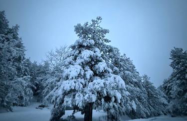 Pefkas Hill - Foto 18