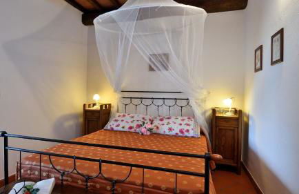 Villa Nocciola Il Poderone - Foto 12