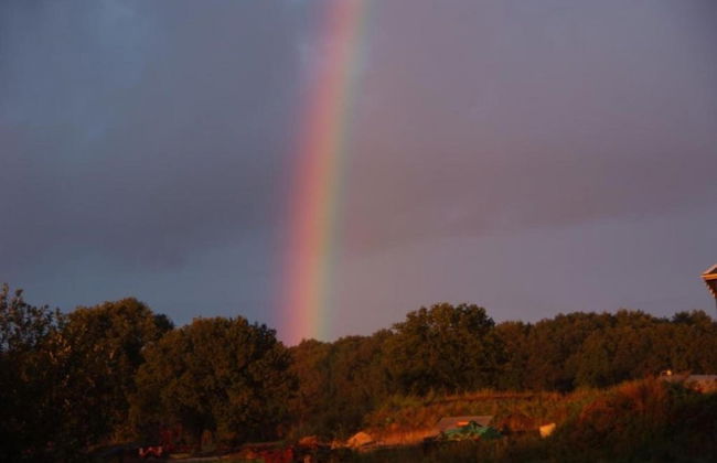 Holiday Home in Donkerbroek Near Forest Trails - Foto 36