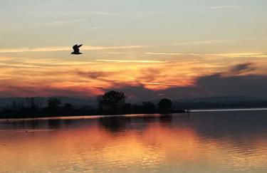Casa vacanze Trasimeno - Photo 16