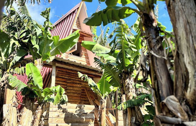 Banana Eco Camp - Foto 12