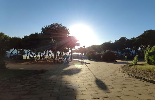 Smart Conil los Bateles 28584 - Photo 20