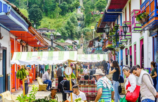 Descubra el Valle del Cocora y Paseo a Caballo en Salento - Excursión Privada de Día Completo - Foto 4
