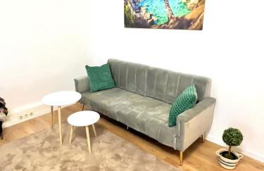 BIG New 7Rooms City Center APARTMENTS and Suites - Foto 64