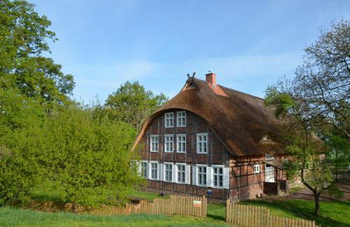 Deichkind - Reetdachhaus direkt am Elbdeich - Foto 2