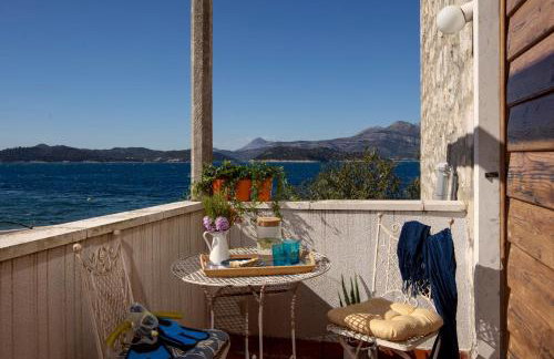 VILLA BIRIMIŠA LOPUD ISLAND - Photo 46