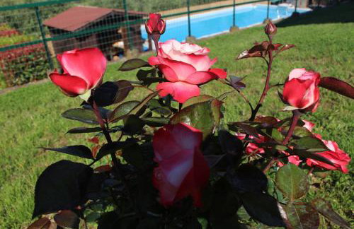 Casa vacanze Ester - Foto 61