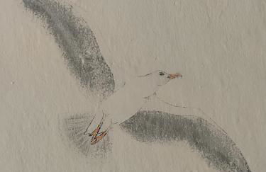 La Conchiglia Azzurra by Affitti Brevi Rimini - Foto 32