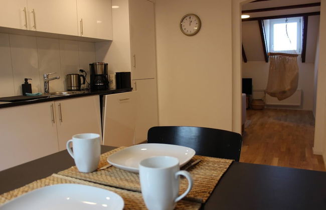 Completely Renovated Apartment Near the Train Station and the Center - Foto 10