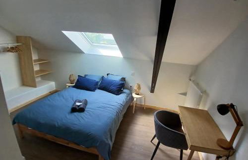 La Canopée - Photo 29