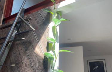 The Kite Shack - Foto 11