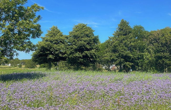 4 Person Holiday Home in Skarhamn-by Traum - Foto 23