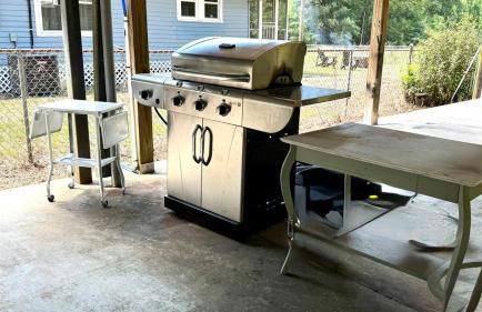 Country Retreat with ponds-views-porches & pups - Foto 7