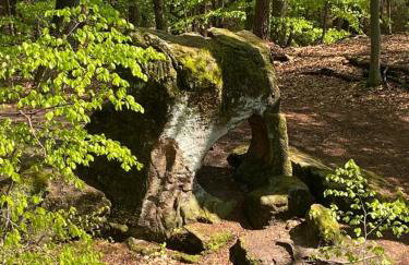 Ferienwohnung Nebenan - Foto 16