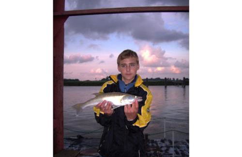 Atelier 1 Comfortable holiday residence - Foto 21