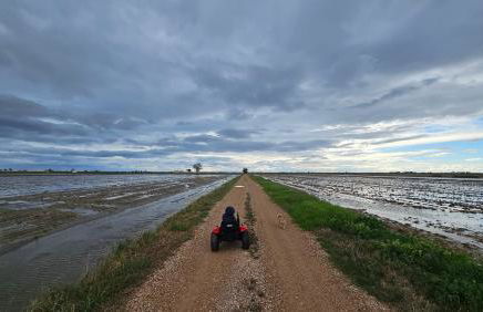 Masos Bruguera - Finca Llambrich - Foto 46
