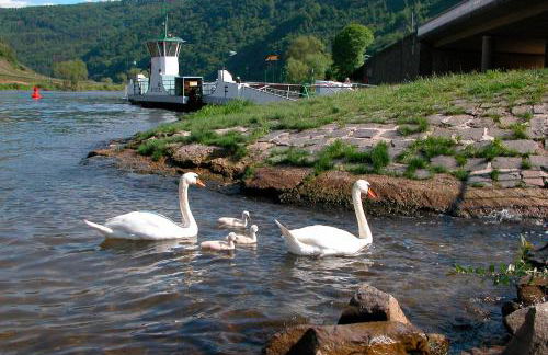 Gästehaus Herda - Foto 19