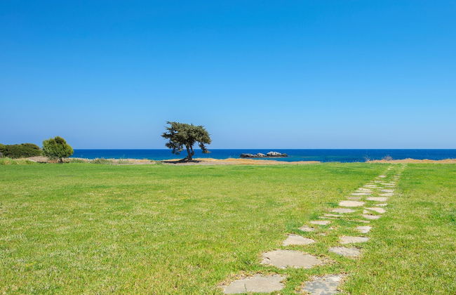 Horizon Line Villas - Photo 36