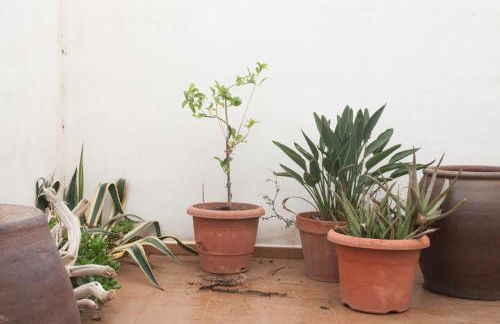 Casita de pescadores reformada en Les Cases d'Alcanar - Foto 28