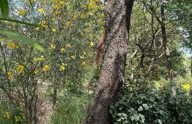 L'Autre Perle, balnéo en supplément, le Clos des Perles - Foto 44