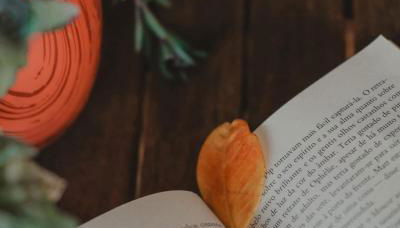 Longra Family Villa & SPA - Foto 4