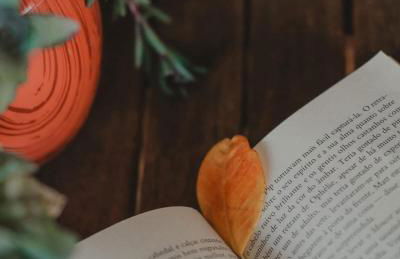 Longra Family Villa & SPA - Foto 4