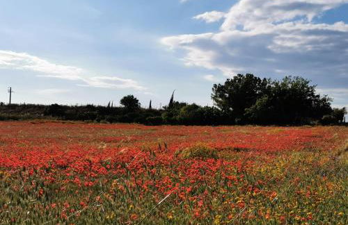 Villa Santa Margherita - Foto 80
