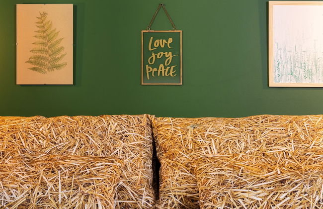 Green Deer Premium - Foto 16