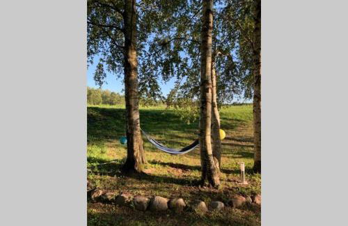 Caloroczny domek letniskowy ze stawem - Foto 14