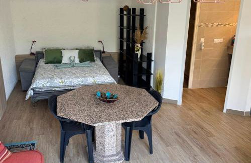 Domaine Mare e Monti - T1 Le Maquis - Foto 5